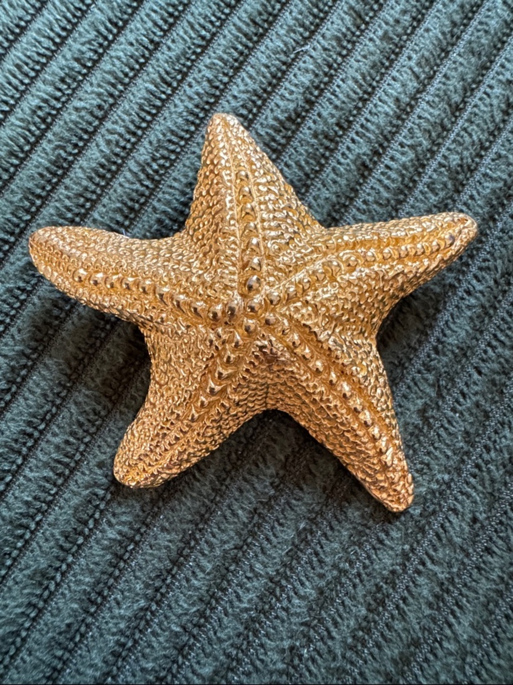 Gold Starfish Brooch / Pendant Combo